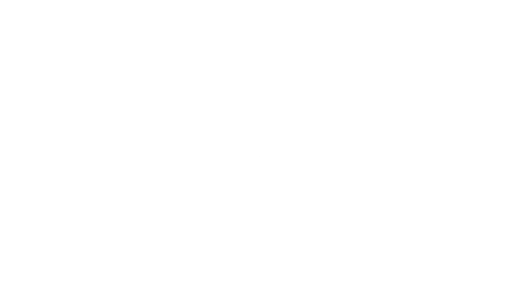 CFVBZ